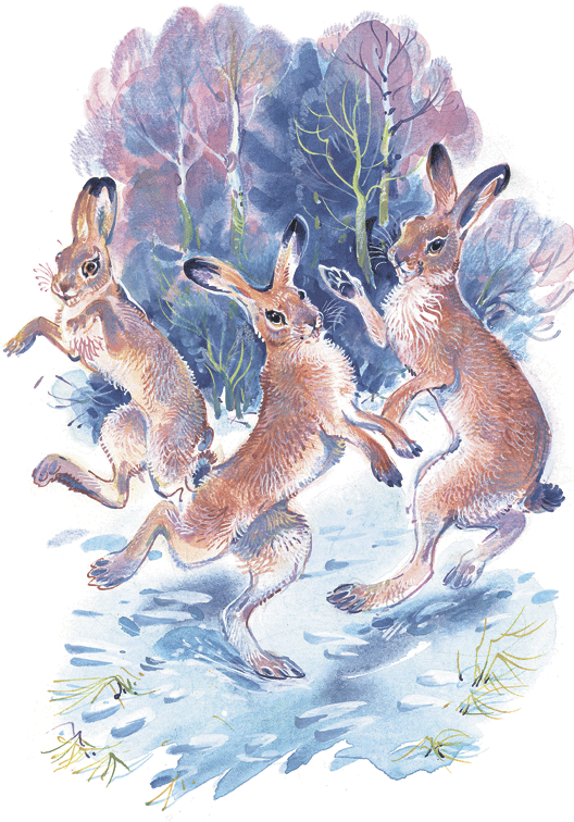 Лесные сказки - i_011.png