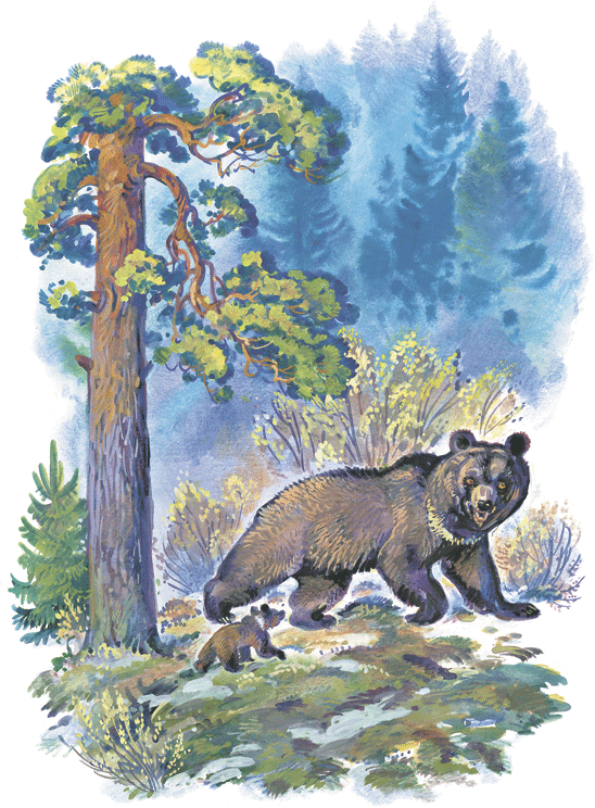 Лесные сказки - i_013.png