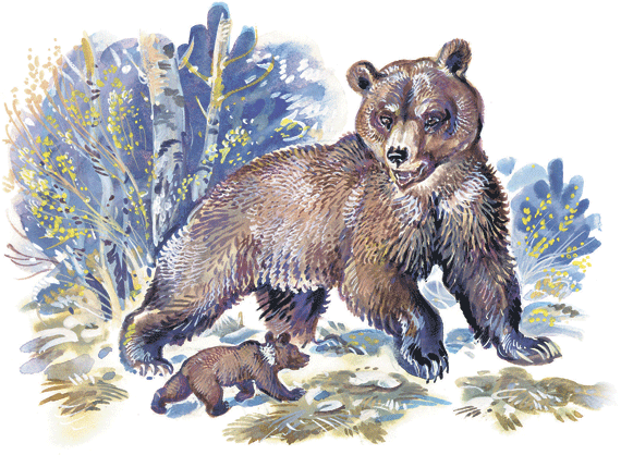 Лесные сказки - i_014.png