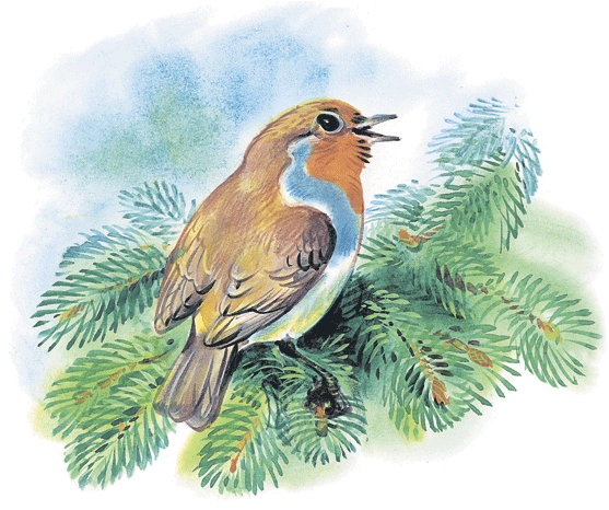 Лесные сказки - i_017.png