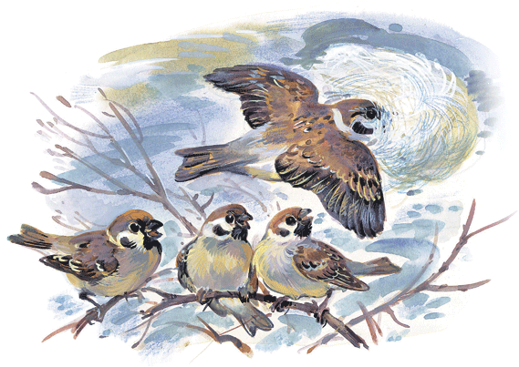 Лесные сказки - i_019.png