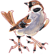 Лесные сказки - i_020.png