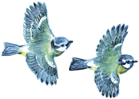 Лесные сказки - i_024.png