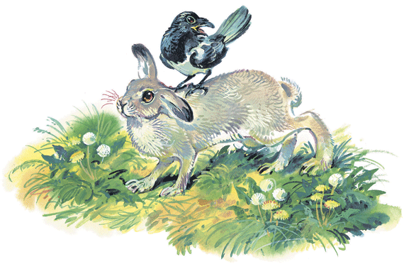 Лесные сказки - i_027.png