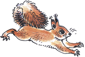 Лесные сказки - i_031.png