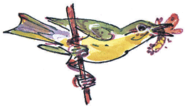 Лесные сказки - i_038.png