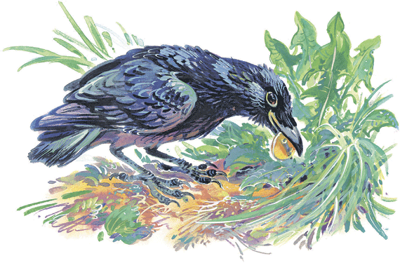 Лесные сказки - i_039.png