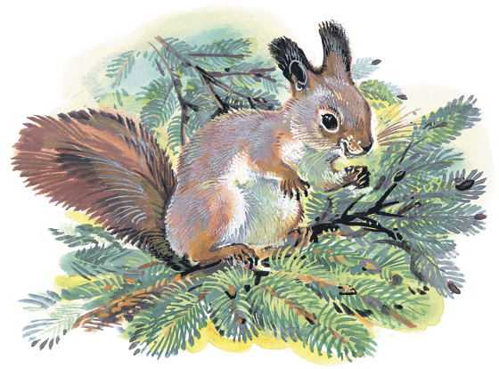 Лесные сказки - i_049.png