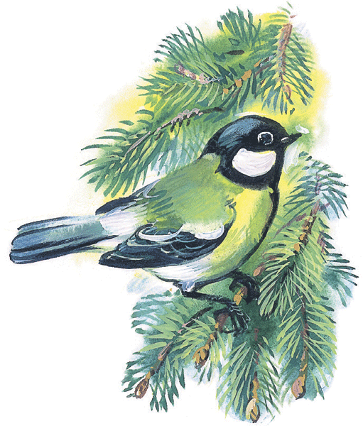 Лесные сказки - i_050.png