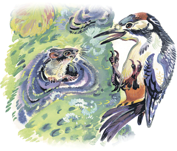 Лесные сказки - i_055.png