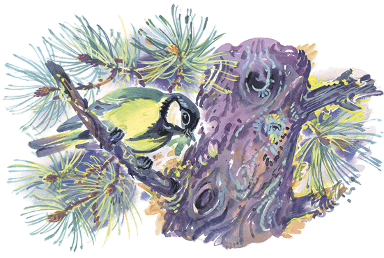 Лесные сказки - i_059.png