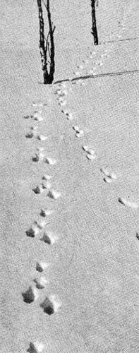 Силуэты на облаках - i_045.jpg