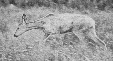 Силуэты на облаках - i_096.jpg