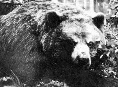 Силуэты на облаках - i_261.jpg