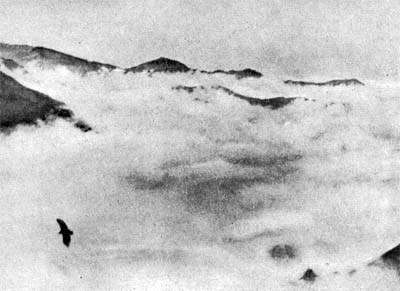 Силуэты на облаках - i_274.jpg