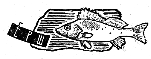 Рыбьи дорожки - i_005.png