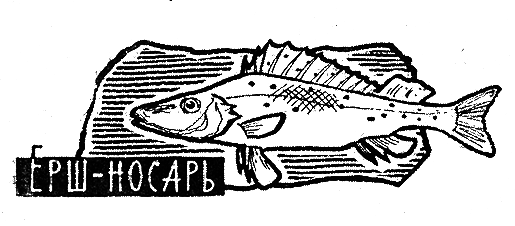 Рыбьи дорожки - i_006.png