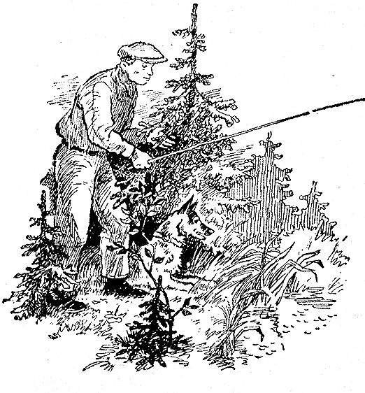 Рыбьи дорожки - i_012.png