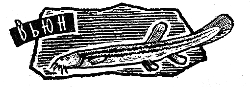 Рыбьи дорожки - i_013.png