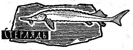 Рыбьи дорожки - i_031.png