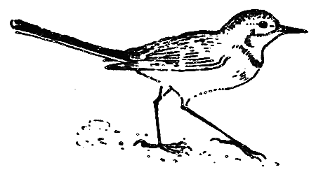 Клуб Колумбов - i_037.png