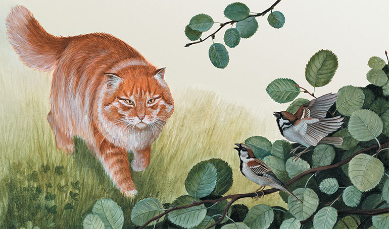 Лесные разведчики (сборник) - i_012.jpg