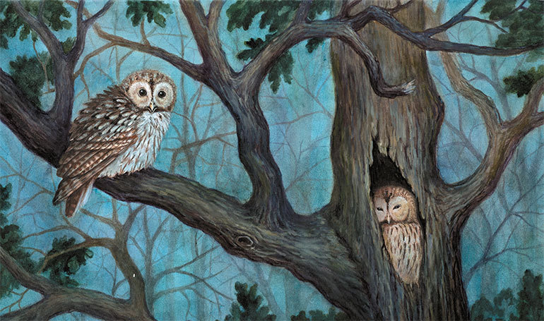 Лесные разведчики (сборник) - i_020.jpg