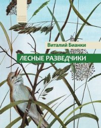 Лесные разведчики (сборник) - Бианки Виталий Валентинович