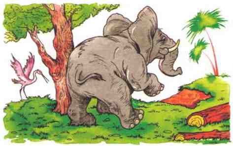 Рассказы о животных - i_029.jpg