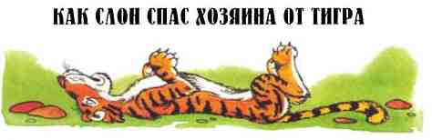 Рассказы о животных - i_031.jpg