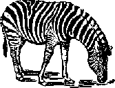 Что я видел (сборник) - i_104.png