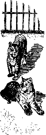 Что я видел (сборник) - i_124.png