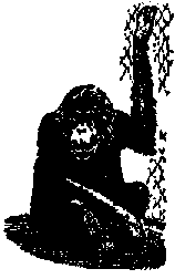 Что я видел (сборник) - i_128.png