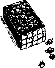 Что я видел (сборник) - i_132.png