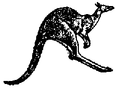 Что я видел (сборник) - i_137.png