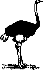 Что я видел (сборник) - i_139.png