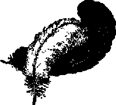 Что я видел (сборник) - i_141.png