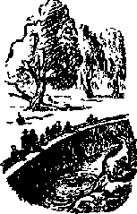 Что я видел (сборник) - i_144.png