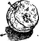 Что я видел (сборник) - i_269.png