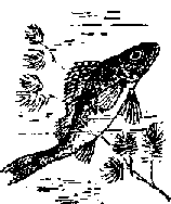 Что я видел (сборник) - i_301.png