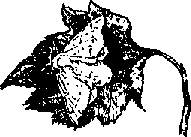 Что я видел (сборник) - i_387.png