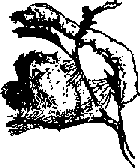 Что я видел (сборник) - i_388.png