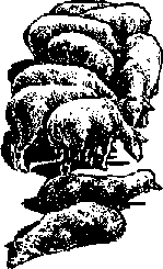 Что я видел (сборник) - i_392.png