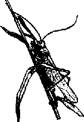 Что я видел (сборник) - i_393.png