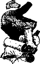 Что я видел (сборник) - i_396.png