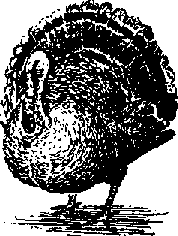 Что я видел (сборник) - i_400.png