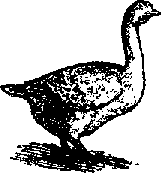 Что я видел (сборник) - i_403.png