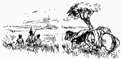 Голубий Птах, названий син ірокезів - i_013.png