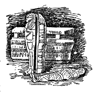 Прекрасні катастрофи - i_019.png