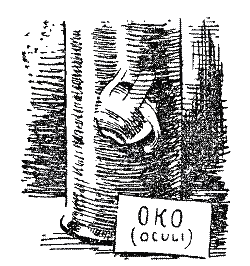 Прекрасні катастрофи - i_020.png